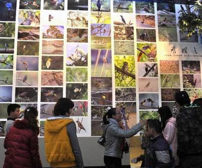 工廠礦山也能變景區？國家工業遺產旅游基地名單出爐 市場營銷策劃篇