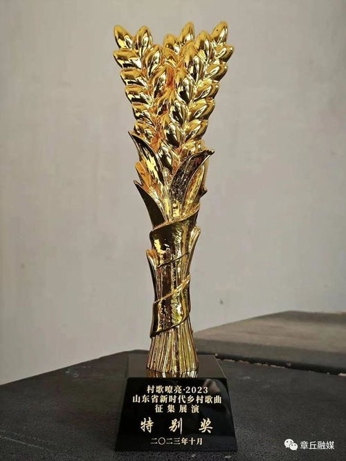 章丘文藝精品創(chuàng)作再結(jié)碩果 幸福笑臉 綻放全省新時代鄉(xiāng)村歌曲頒獎晚會